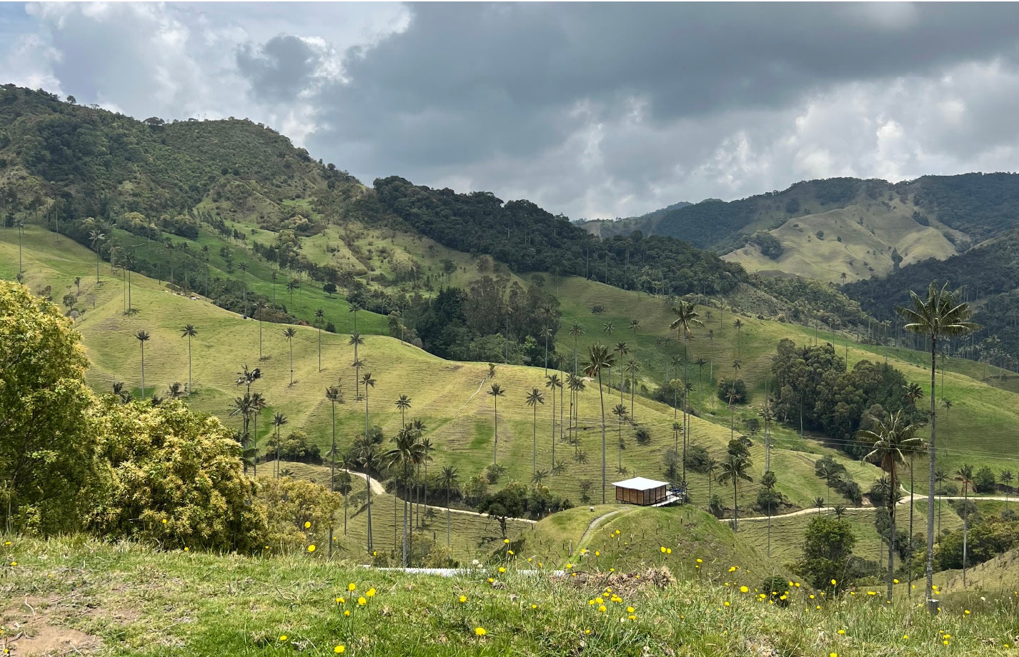 Motorcycle Tour Coffe Region Colombia 